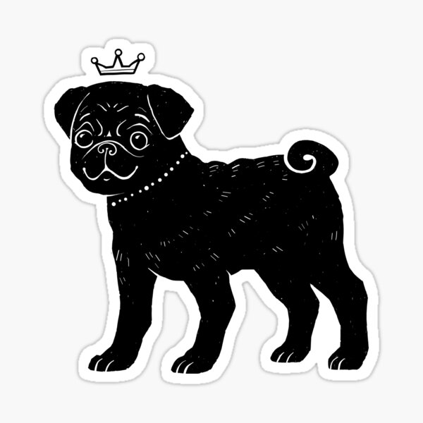 Black Pug are kings