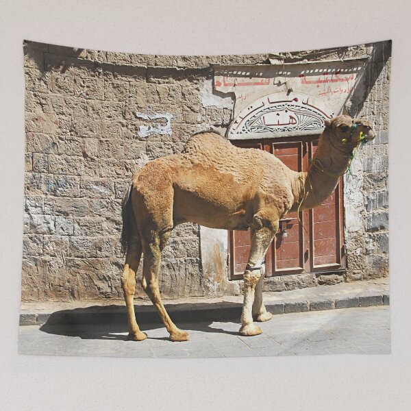 Item preview, Dromedary Camel Portrait Street Sanaa, Yemen designed and sold by worldways.