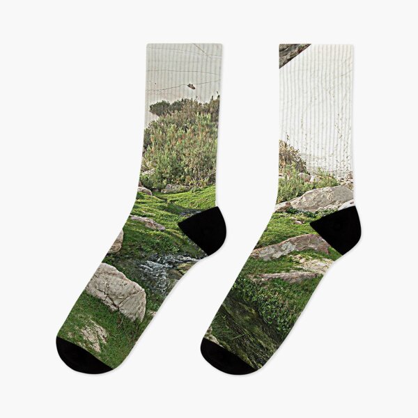 Item preview, Oasis Brook Desert Garden, Socotra Island  designed and sold by worldways.