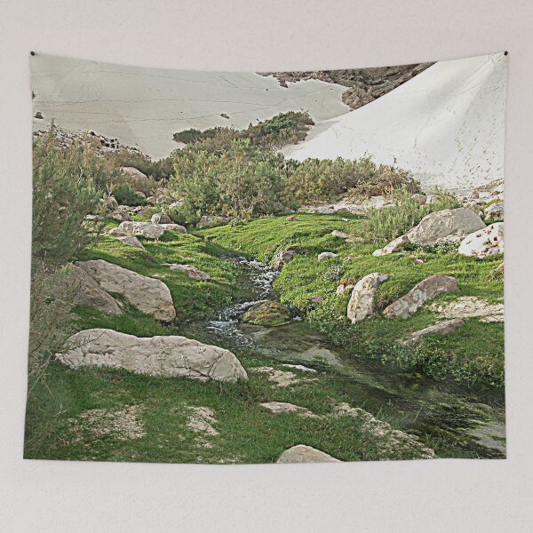 Item preview, Oasis Brook Desert Garden, Socotra Island  designed and sold by worldways.