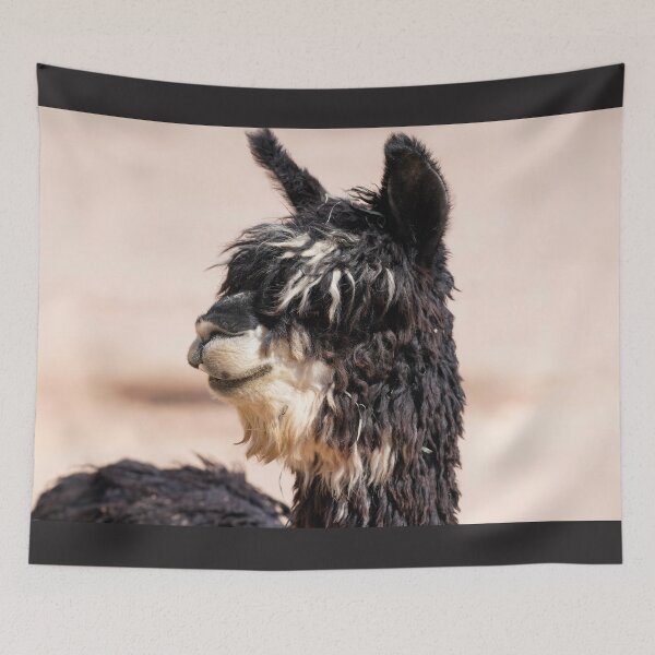 Item preview, Portrait of a Suri Alpaca designed and sold by MomentofPercep.