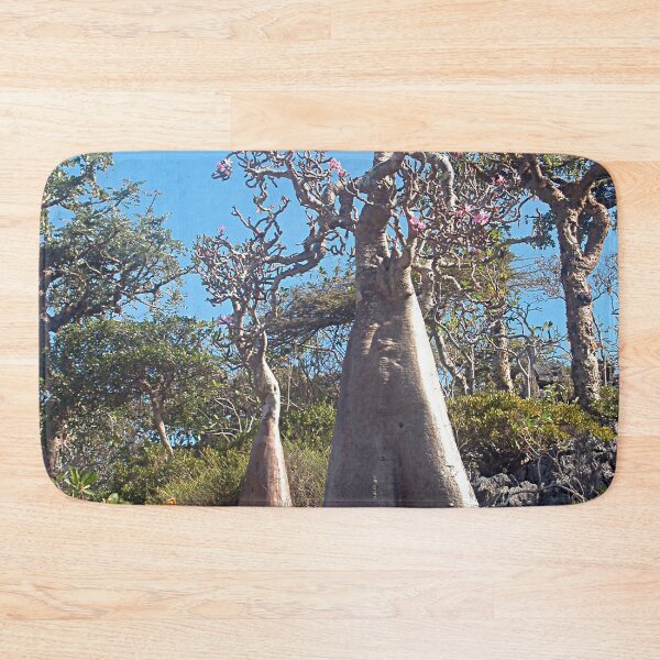 Item preview, Desert Rose Tree Grove, Socotra Island designed and sold by worldways.