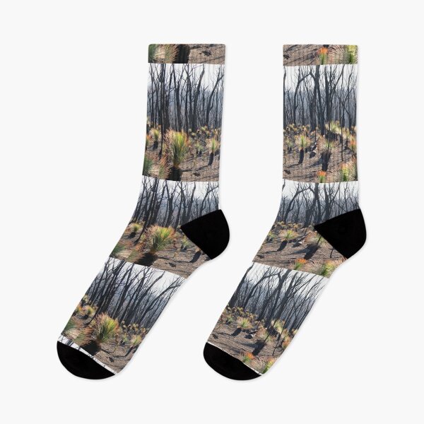 Item preview, Recovering grass trees designed and sold by HaniaAnia.