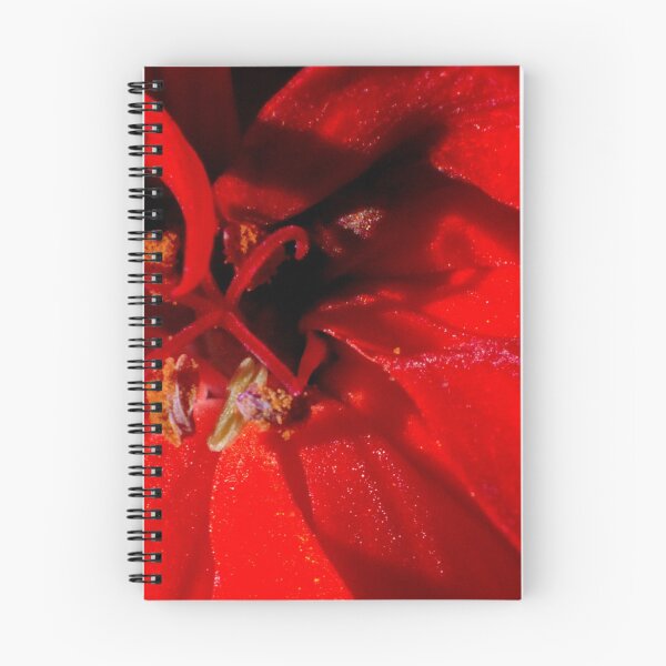 Item preview, Red Geranium Macro designed and sold by xantilly.