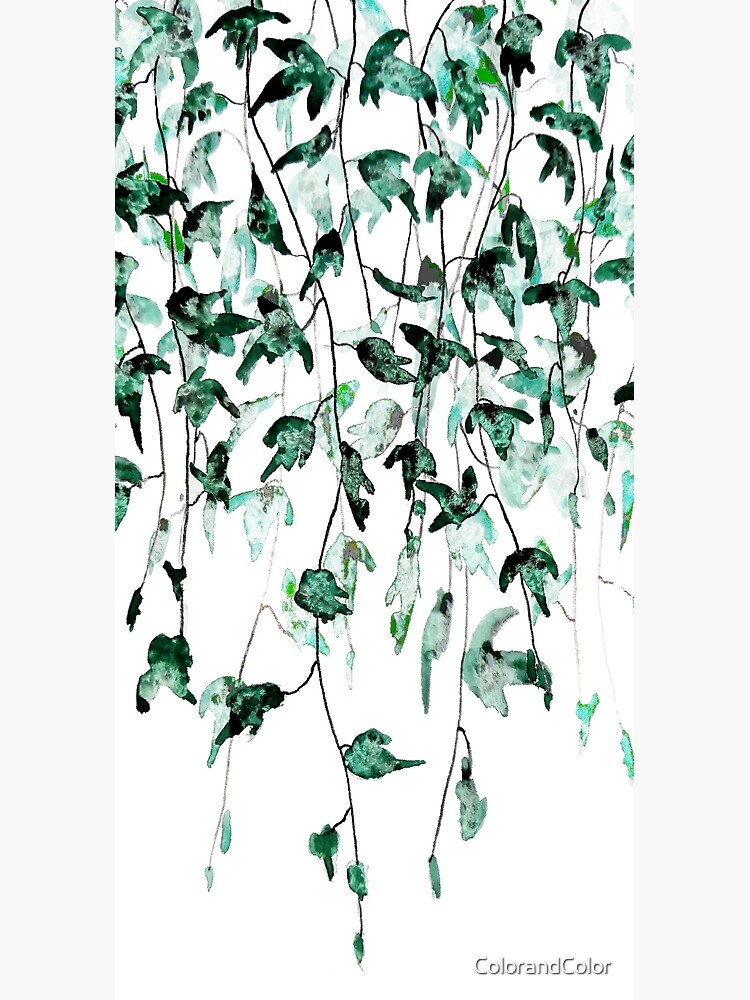 Ivy on the wall watercolor by ColorandColor