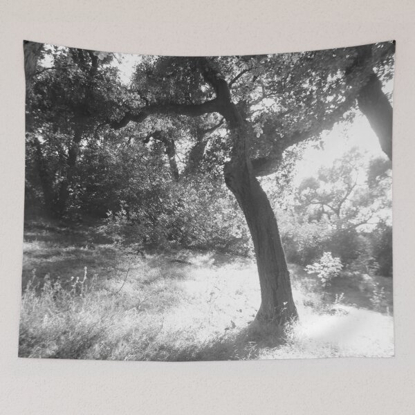 Item preview, sunny forest designed and sold by MariannaPhotos.