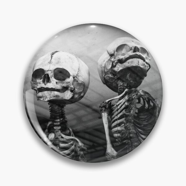 Item preview, Muséum national Histoire naturelle - Veleda Thorsson Photography designed and sold by VeledaThorsson.