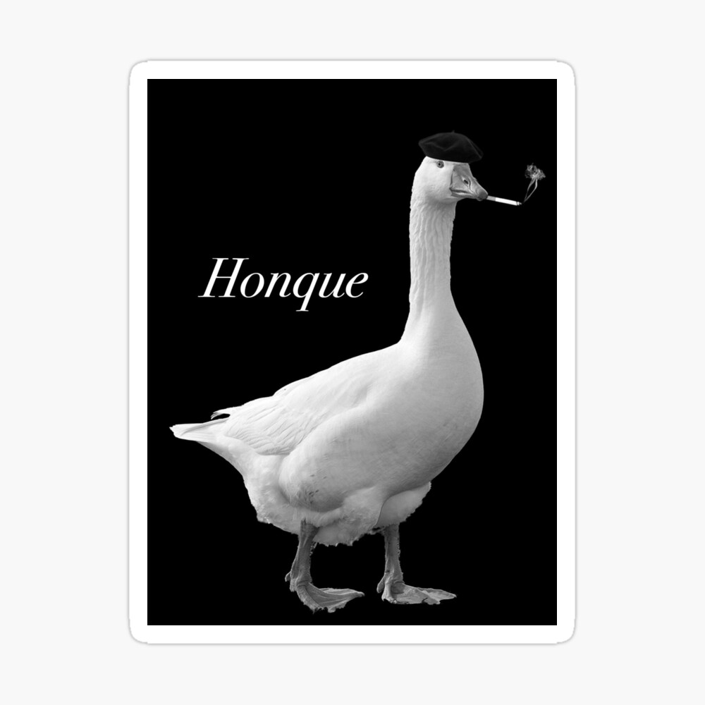 Honk Honk Honk Goose A5 Print funny meme goose print -  Portugal