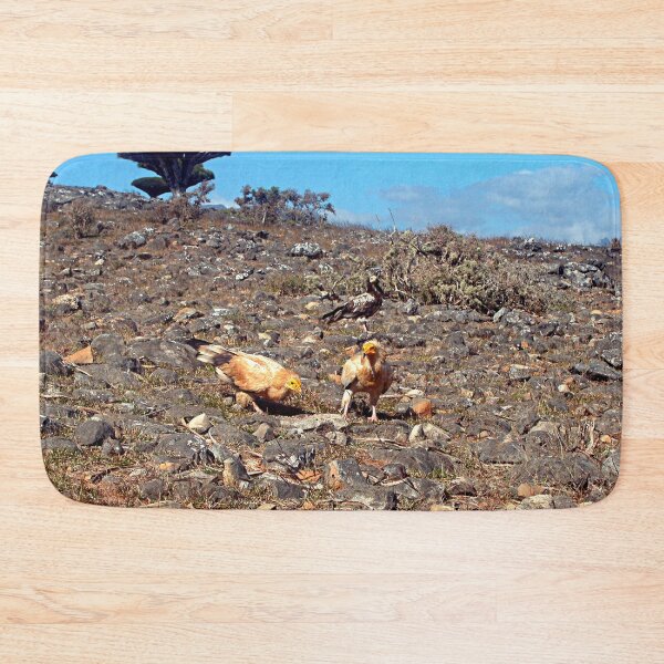 Item preview, Egyptian Vulture Predator Birds In the Wilde designed and sold by worldways.