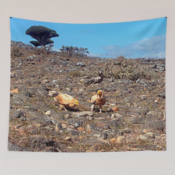 Item preview, Egyptian Vulture Predator Birds In the Wilde designed and sold by worldways.