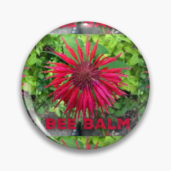 Item preview, Scarlet Bee Balm designed and sold by homesteadswag.