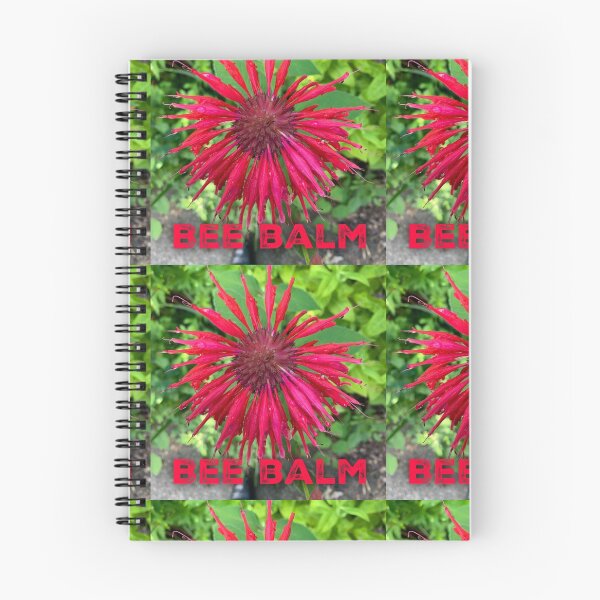Item preview, Scarlet Bee Balm designed and sold by homesteadswag.