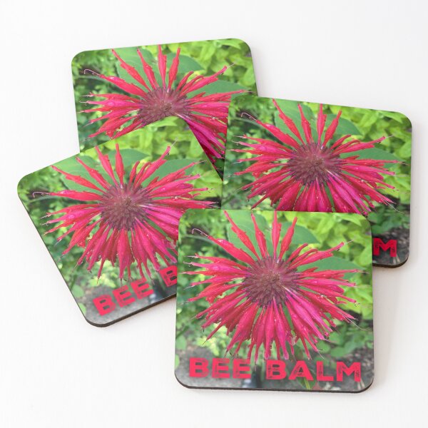 Item preview, Scarlet Bee Balm designed and sold by homesteadswag.