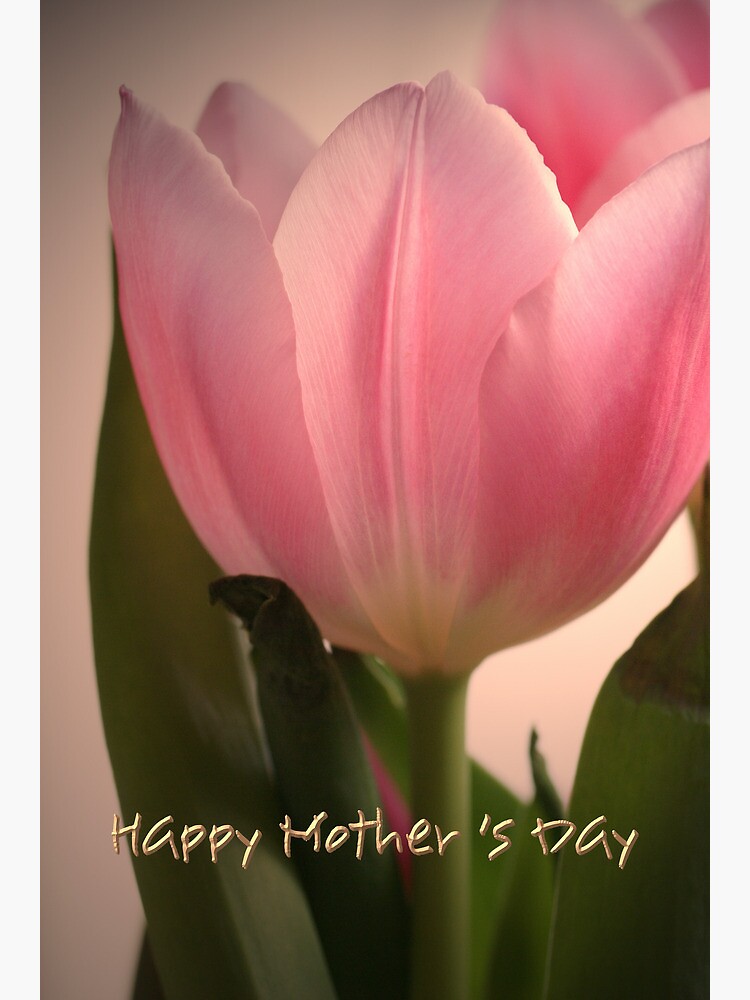 Happy Mother’S Day Tulips Greeting Card Happy Mother’S Day Tulips Greeting Card