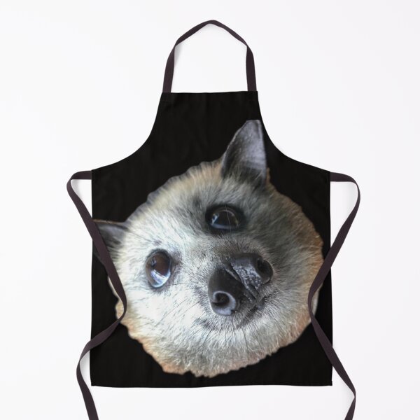 Item preview, Handsome Grey Headed Flying Fox Bat Sinbad. designed and sold by BabyBats.
