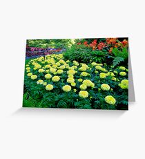 Formal gardens Greeting Card