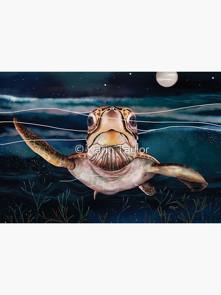 Cosmic Turtle by karin