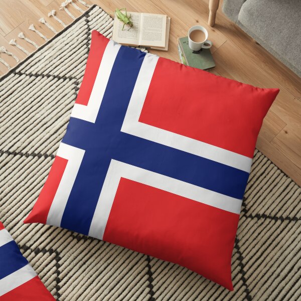 leo • theo | Norwegian Flag Floor Pillow
