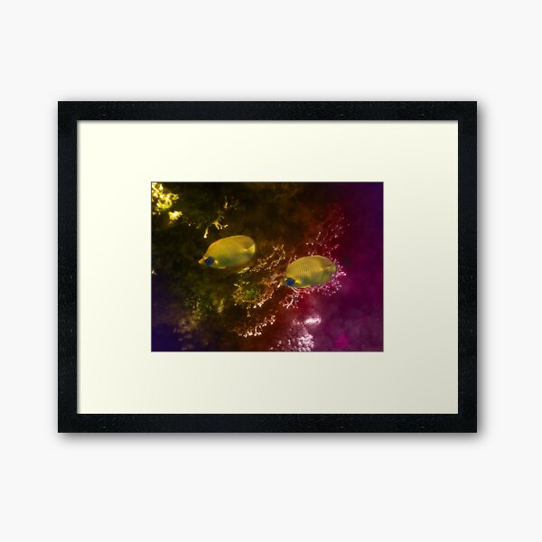 The Lovely Masked Butterflyfish In The Red Sea Framed Art Print