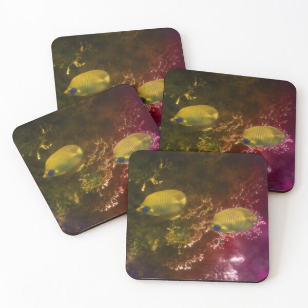 The Lovely Masked Butterflyfish In The Red Sea Coasters (Set of 4)