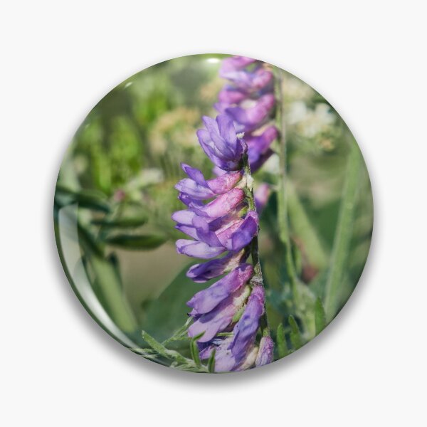 Item preview, Tufted Vetch 2 designed and sold by Jouko Lehto Photography.