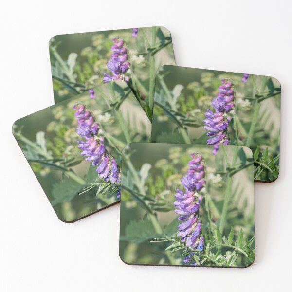 Item preview, Tufted Vetch 2 designed and sold by Jouko Lehto Photography.