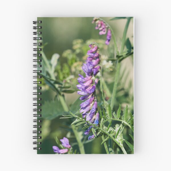 Item preview, Tufted Vetch 2 designed and sold by Jouko Lehto Photography.
