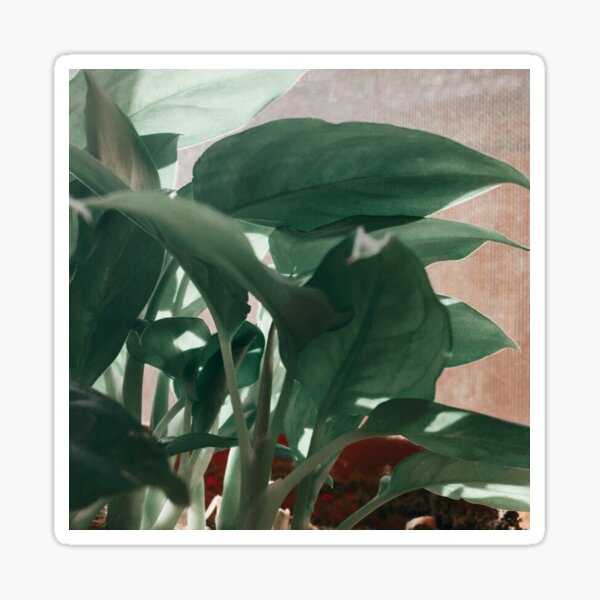 Flower Leaves Sticker