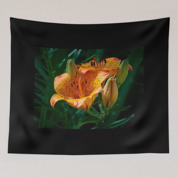 Item preview, Orange lily The Crown designed and sold by Jouko Lehto Photography.