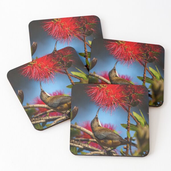 Item preview, Eastern Spinebill with Callistemon Flower designed and sold by theleastone.