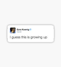 Ezra Koenig tweets about the complexities of adulthood Sticker
