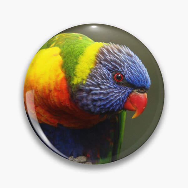 Item preview, Rainbow Lorikeet on a stick designed and sold by theleastone.