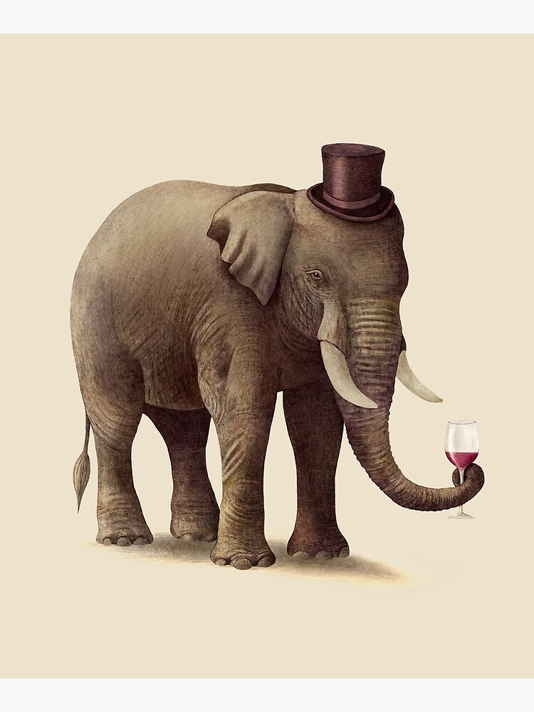 A Fine Vintage by TerryFan
