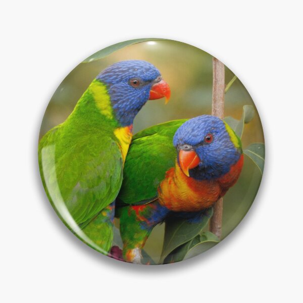 Item preview, Rainbow Lorikeets & Waratah designed and sold by theleastone.