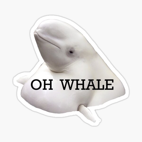 Oh Whale Sticker Sticker