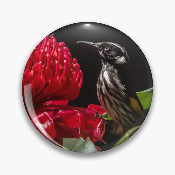 Item preview, New Holland Honeyeater with Waratah Flower designed and sold by theleastone.