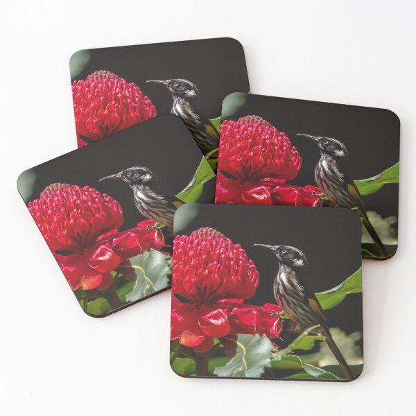 Item preview, New Holland Honeyeater with Waratah Flower designed and sold by theleastone.