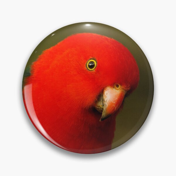 Item preview, Australian King Parrot (male) designed and sold by theleastone.