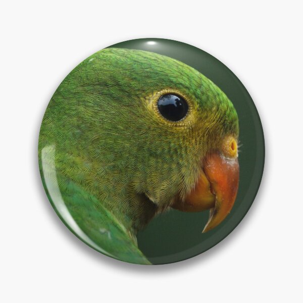 Item preview, Australian King Parrot, juvenile designed and sold by theleastone.