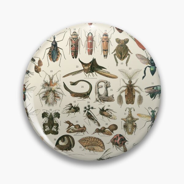 Item preview, Insects 2 designed and sold by Salocin.
