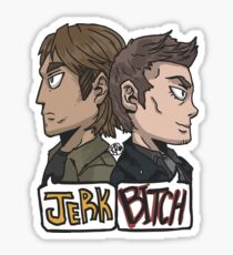 Dynamic Duo Sticker