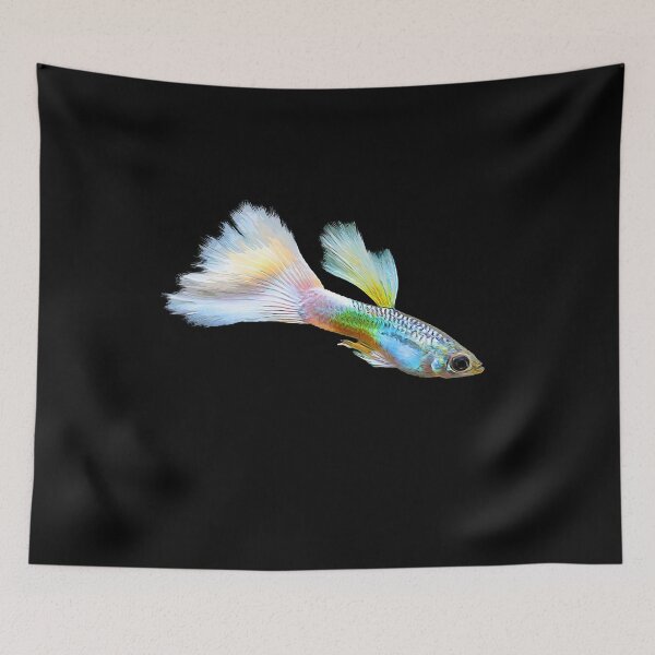 Item preview, Guppy aquarium fish I aquarist hobby aquarium hobby designed and sold by Argentini.