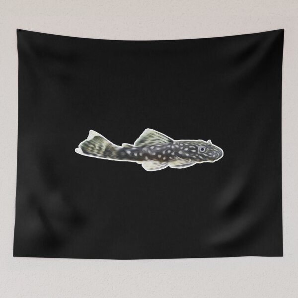 Item preview, Antenna catfish suction catfish aquarium fish I hobby designed and sold by Argentini.