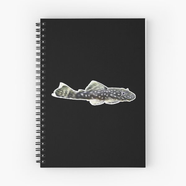 Item preview, Antenna catfish suction catfish aquarium fish I hobby designed and sold by Argentini.