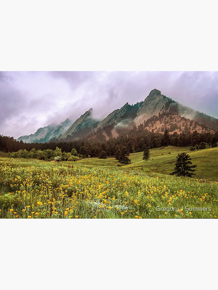 It's Spring - Soon Flowers Will Sing by nikongreg