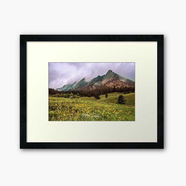 Framed Art Print