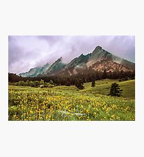 It's Spring - Soon Flowers Will Sing Photographic Print