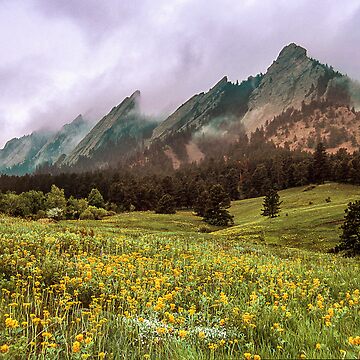 Artwork thumbnail, It's Spring - Soon Flowers Will Sing by Gregory J Summers