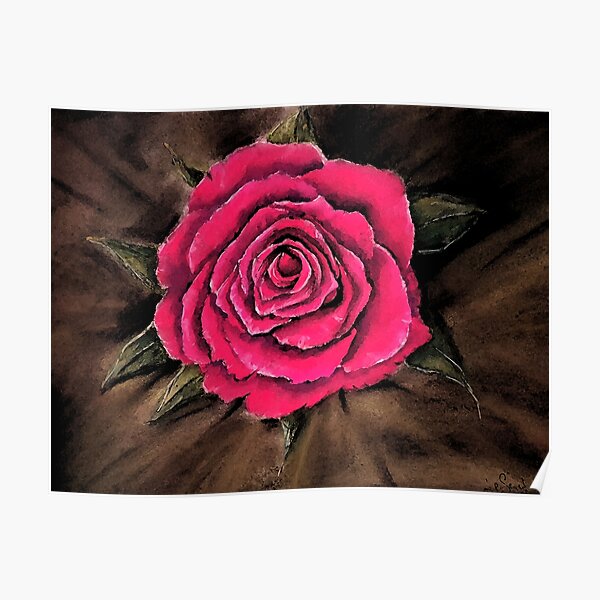 Rose Poster