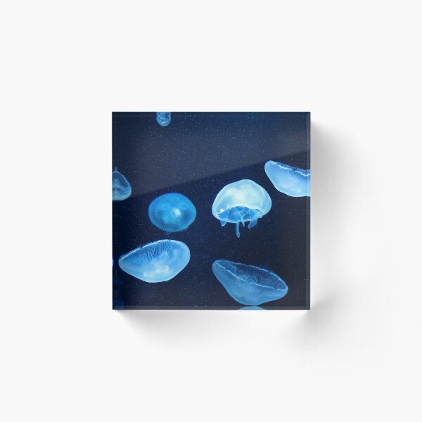 Swimming Jellyfish Acrylic Block
